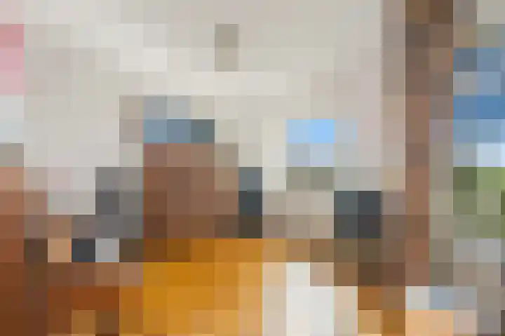 Koningin Julianaweg 20 Maasland thumbnail 13