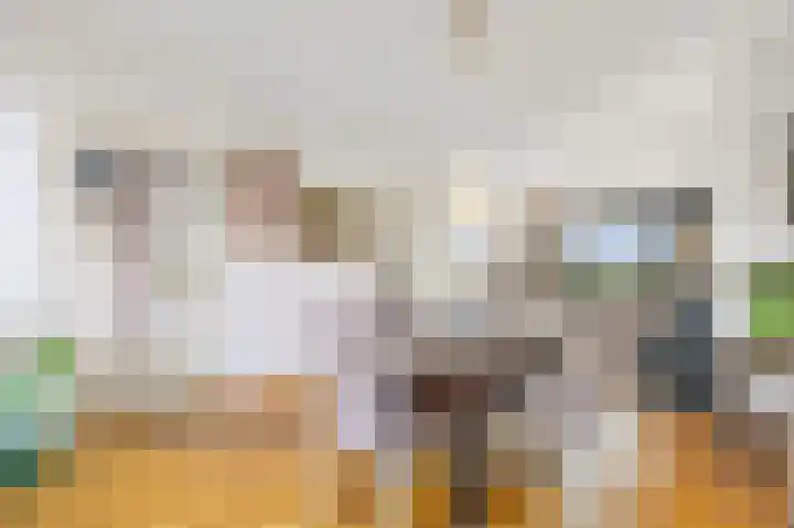 Koningin Julianaweg 20 Maasland thumbnail 15