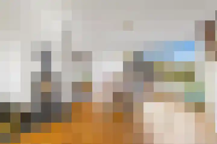 Koningin Julianaweg 20 Maasland thumbnail 16