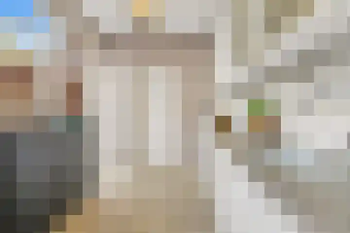 Koningin Julianaweg 20 Maasland thumbnail 17