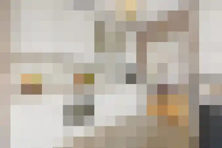 Koningin Julianaweg 20 Maasland thumbnail 18