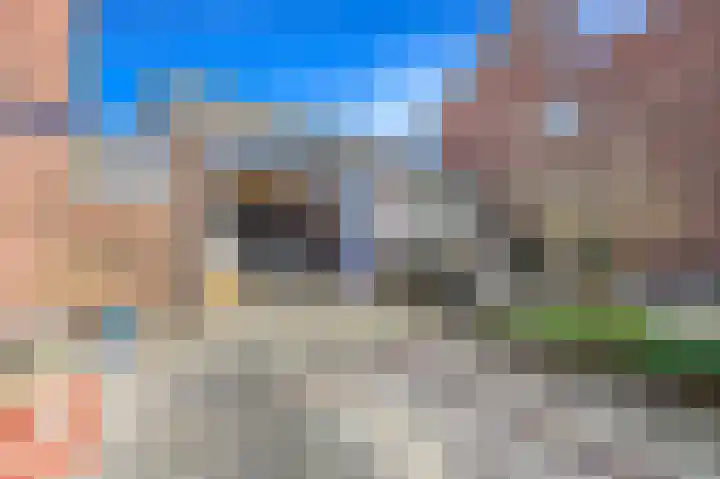 Koningin Julianaweg 20 Maasland thumbnail 25