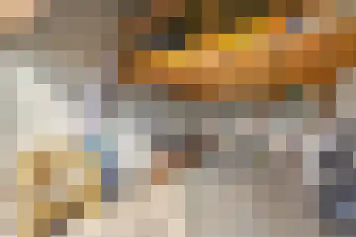 Koningin Julianaweg 20 Maasland thumbnail 26