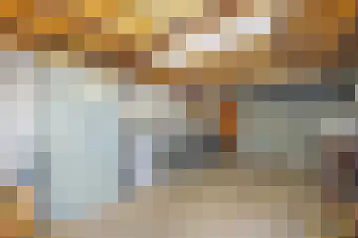 Koningin Julianaweg 20 Maasland thumbnail 27