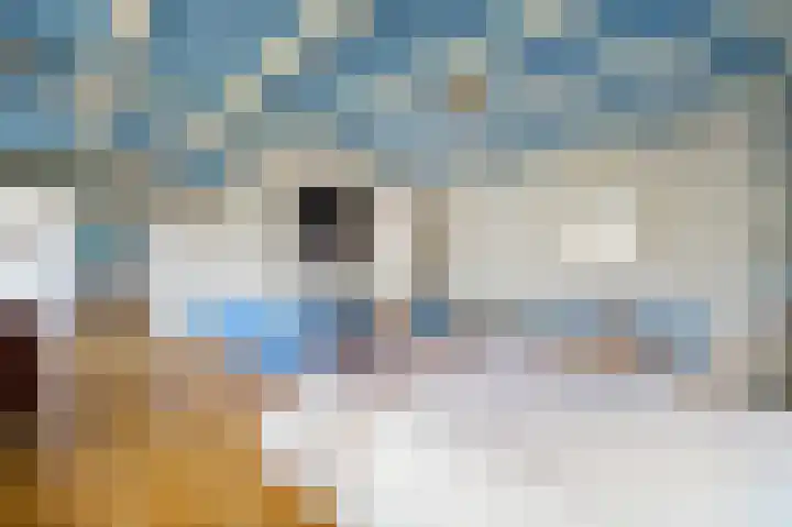 Koningin Julianaweg 20 Maasland thumbnail 30