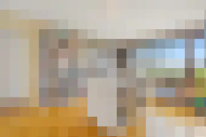 Koningin Julianaweg 20 Maasland thumbnail 34