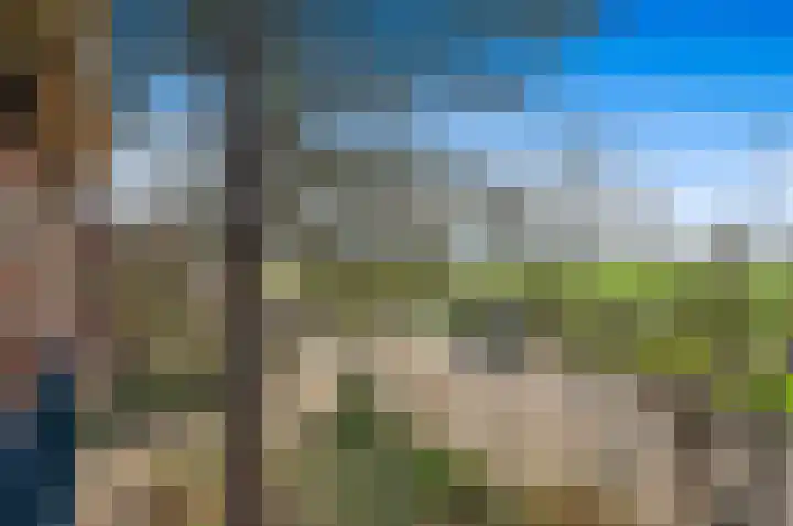 Koningin Julianaweg 20 Maasland thumbnail 36