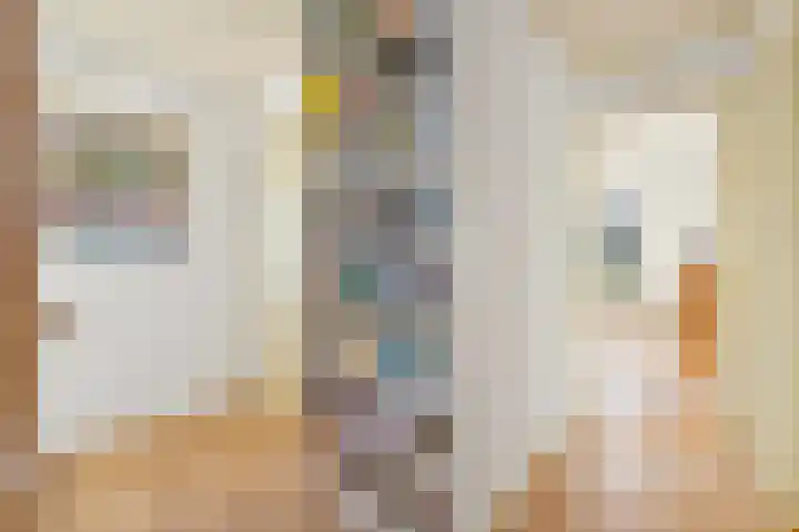 Koningin Julianaweg 20 Maasland thumbnail 37