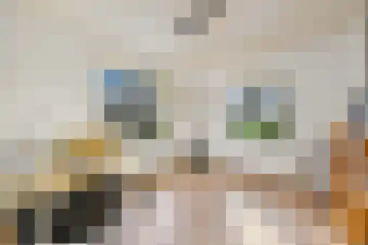 Koningin Julianaweg 20 Maasland thumbnail 41