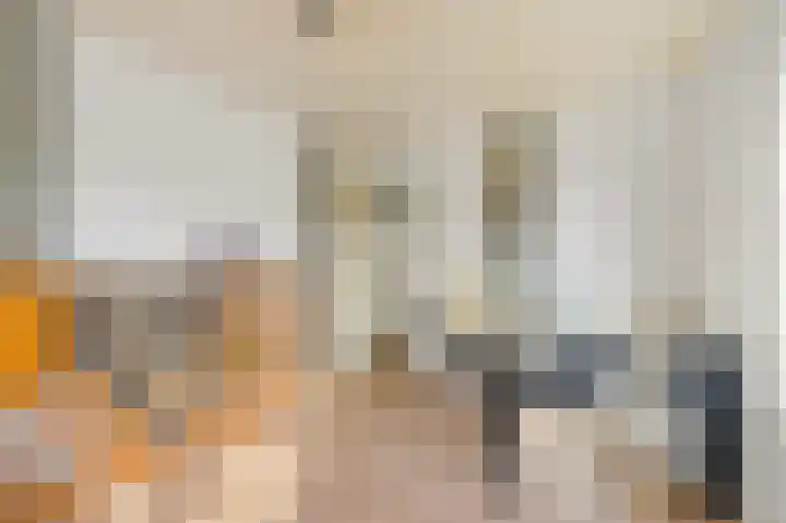 Koningin Julianaweg 20 Maasland thumbnail 42