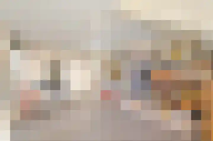 Koningin Julianaweg 20 Maasland thumbnail 48