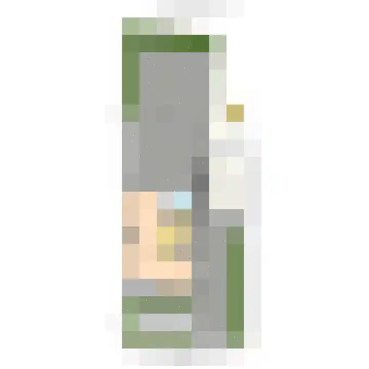 Koningin Julianaweg 20 Maasland thumbnail 52