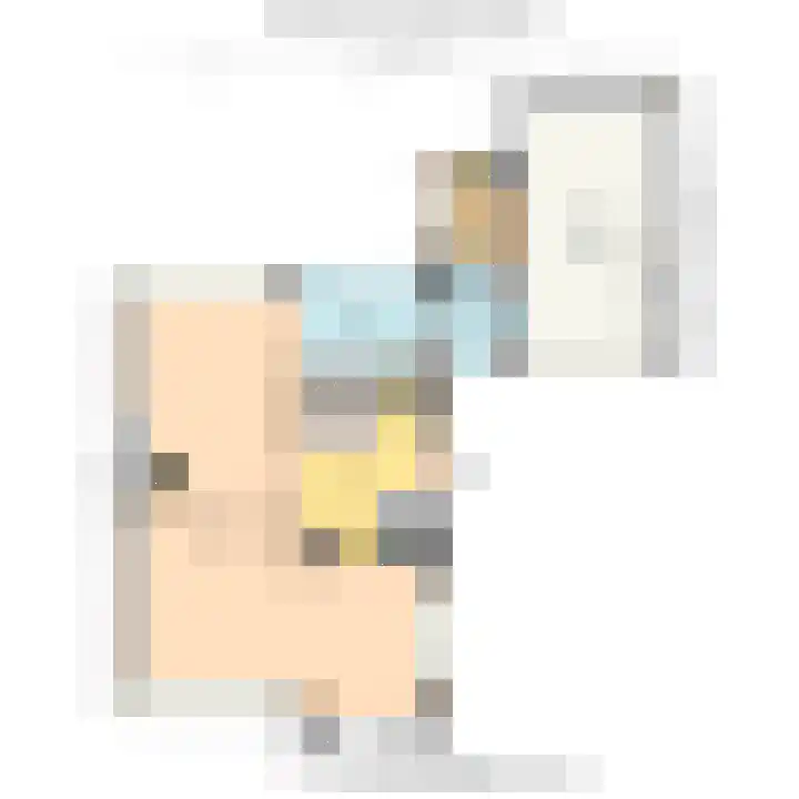 Koningin Julianaweg 20 Maasland thumbnail 53