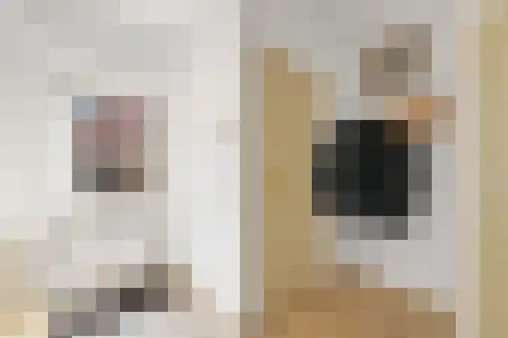 Koningin Julianaweg 20 Maasland thumbnail 8