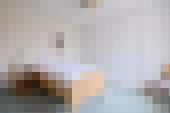 Koningin Julianaweg 22 Schalkhaar thumbnail 12