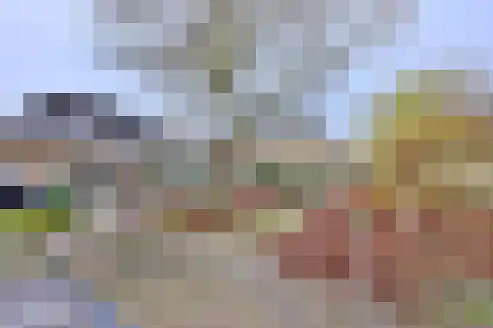 Koningin Julianaweg 22 Schalkhaar thumbnail 15