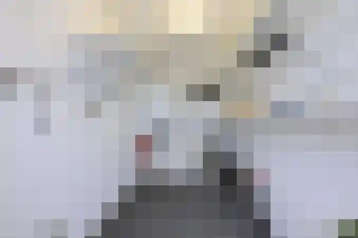 Koningin Julianaweg 22 Schalkhaar thumbnail 18