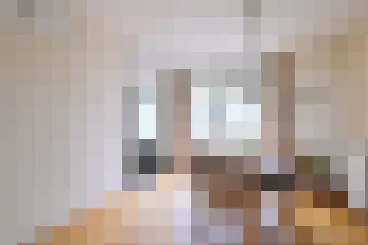 Koningin Julianaweg 22 Schalkhaar thumbnail 8
