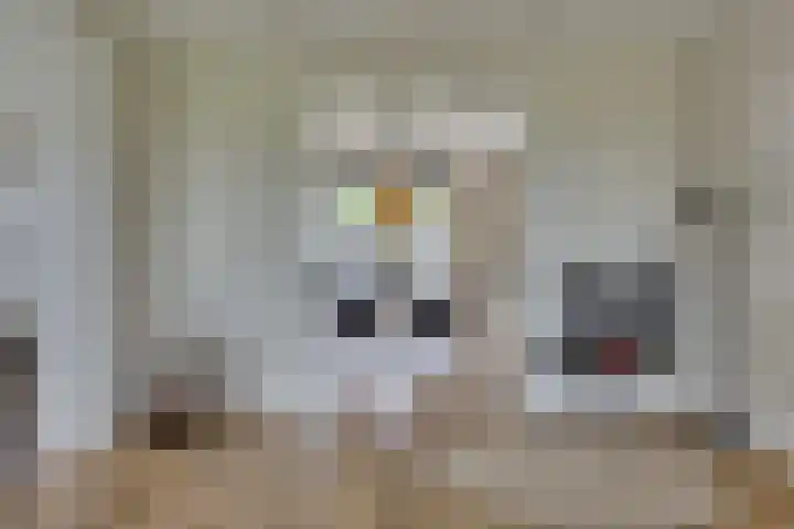 Koningin Julianaweg 25 Achterveld thumbnail 10