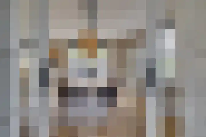 Koningin Julianaweg 25 Achterveld thumbnail 11
