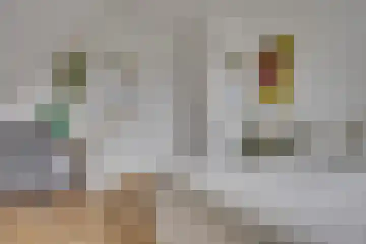 Koningin Julianaweg 25 Achterveld thumbnail 21