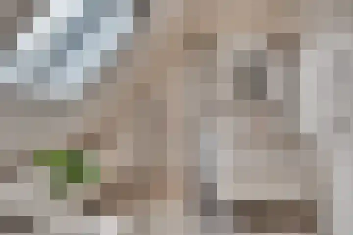 Koningin Julianaweg 25 Achterveld thumbnail 25