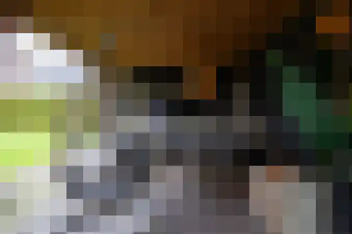Koningin Julianaweg 25 Achterveld thumbnail 31