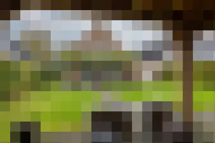 Koningin Julianaweg 25 Achterveld thumbnail 32