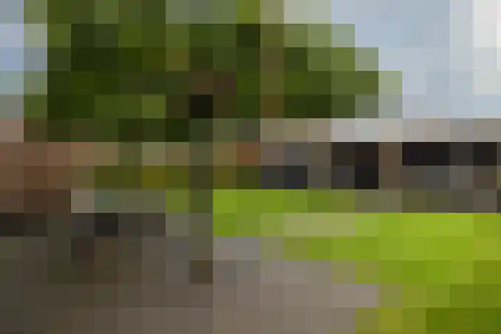 Koningin Julianaweg 25 Achterveld thumbnail 35