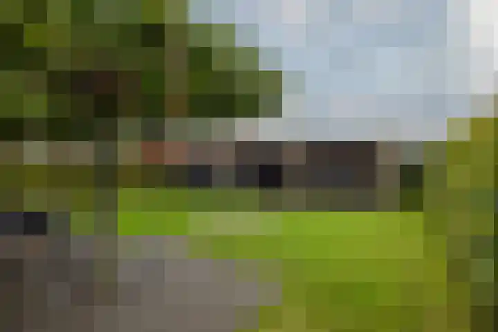 Koningin Julianaweg 25 Achterveld thumbnail 36