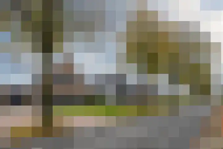 Koningin Julianaweg 25 Achterveld thumbnail 38