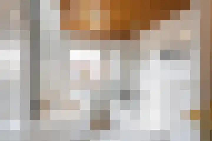 Koningin Julianaweg 25 's-Gravenzande thumbnail 19