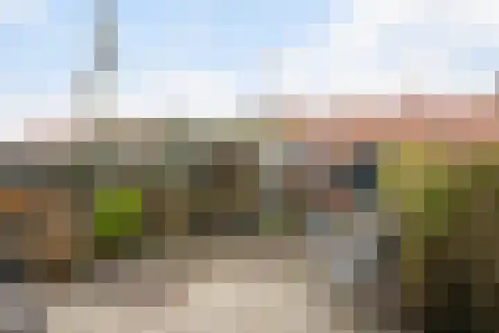 Koningin Julianaweg 25 's-Gravenzande thumbnail 7