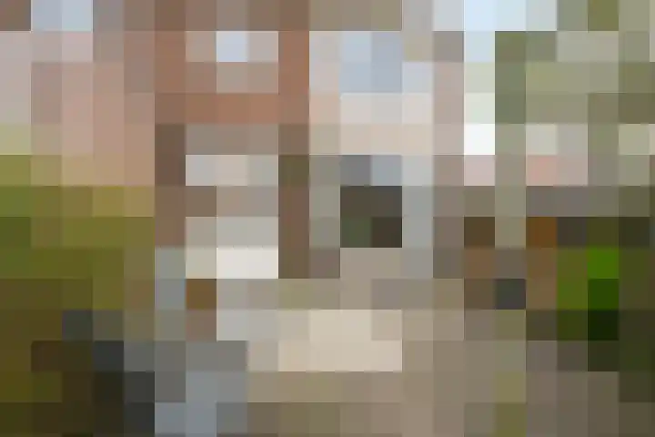 Koningin Julianaweg 25 's-Gravenzande thumbnail 8