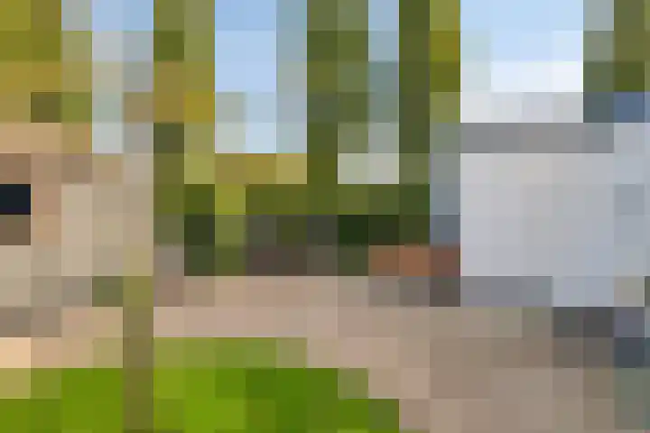 Koningin Julianaweg 31 Heerenveen thumbnail 29