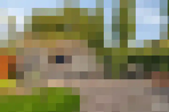Koningin Julianaweg 31 Heerenveen thumbnail 30
