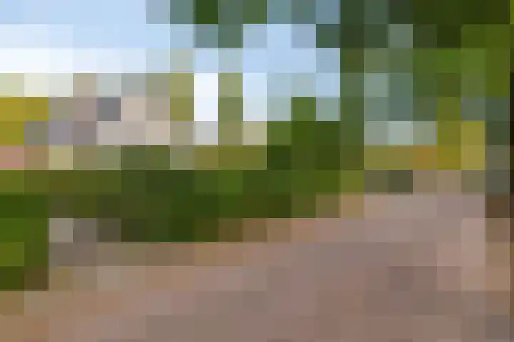 Koningin Julianaweg 31 Heerenveen thumbnail 6