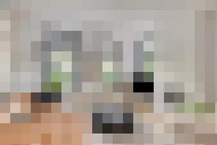Koningin Julianaweg 31 Heerenveen thumbnail 9