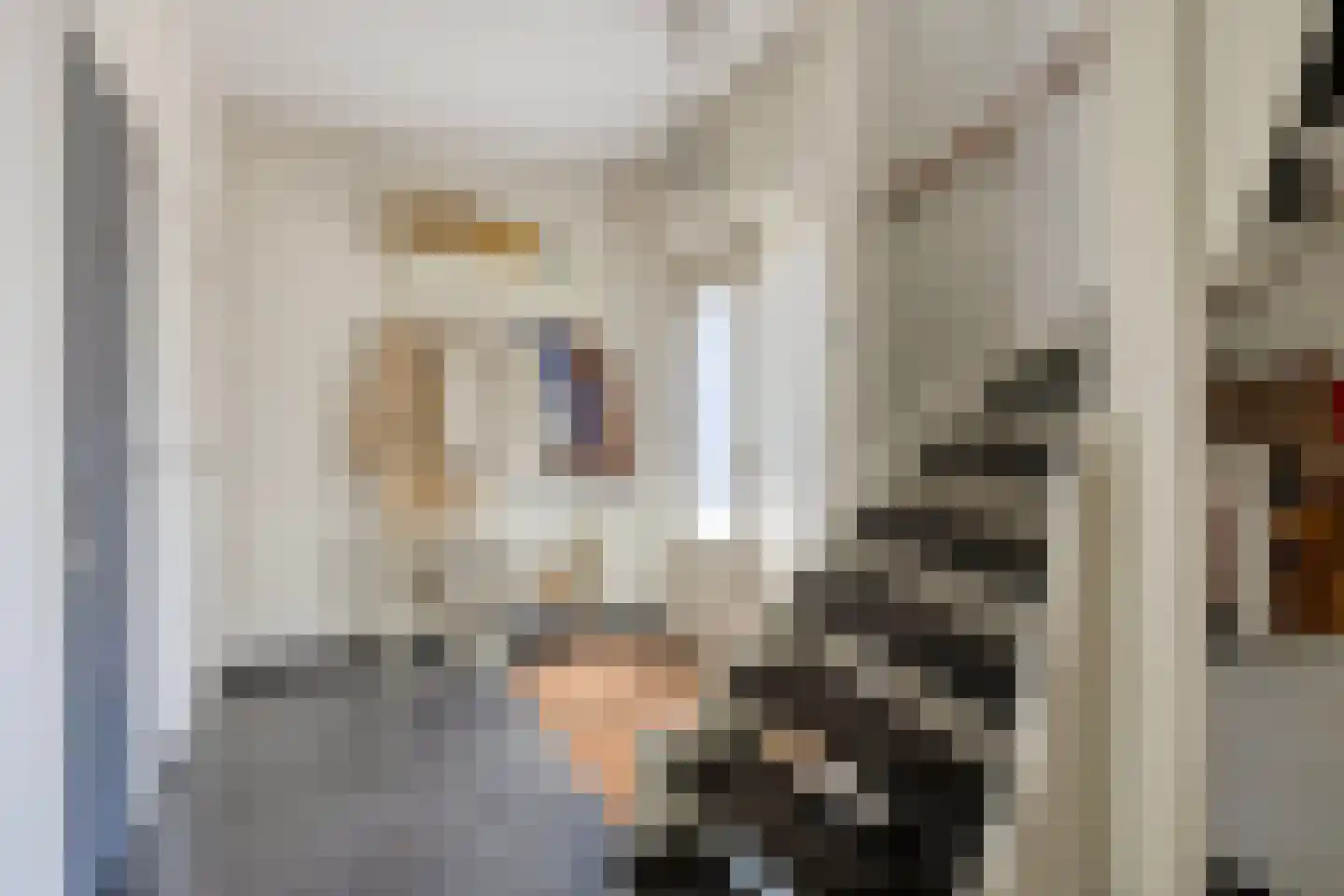 Koningin Julianaweg 33 Maasland thumbnail 10