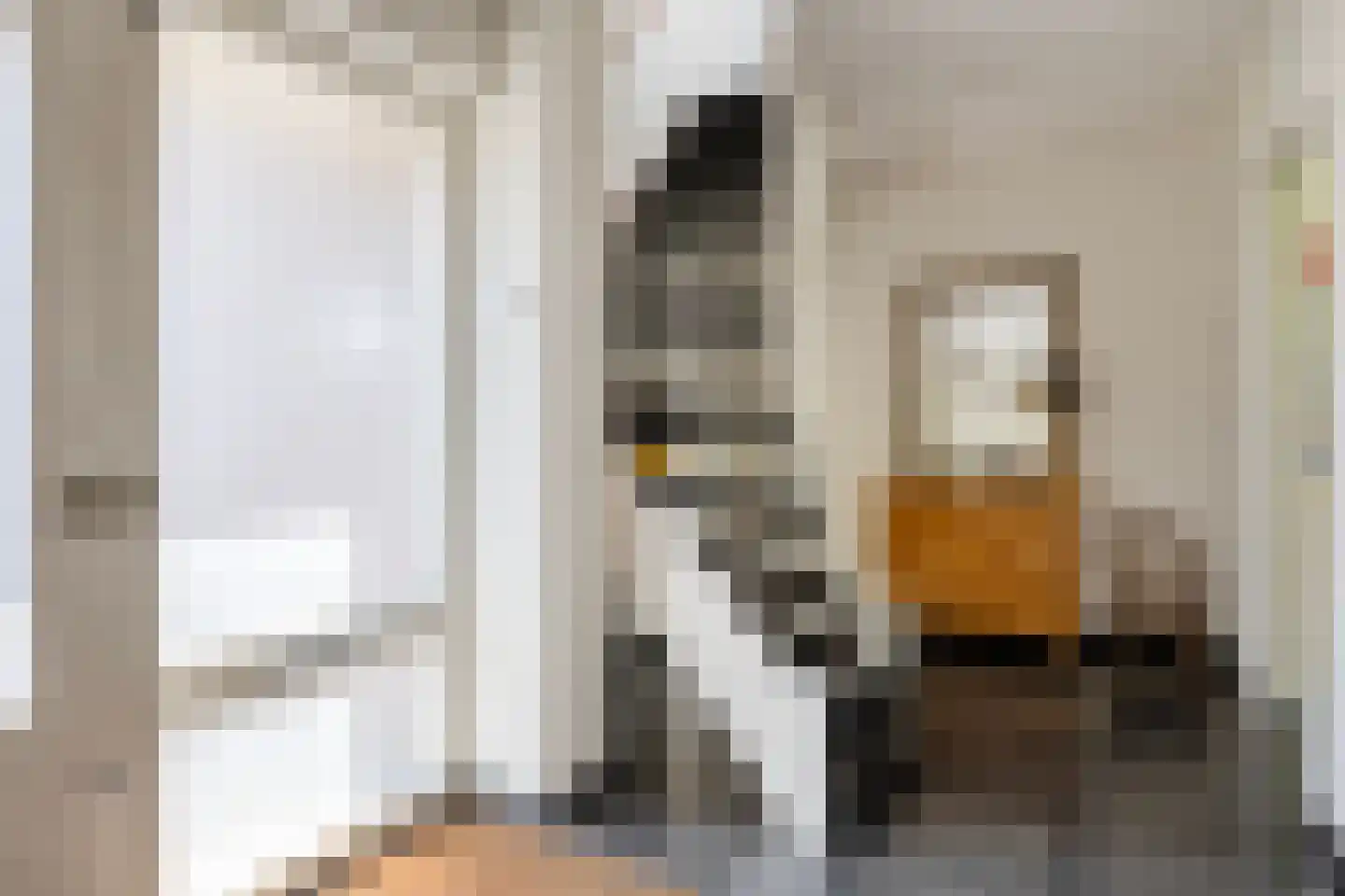 Koningin Julianaweg 33 Maasland thumbnail 11