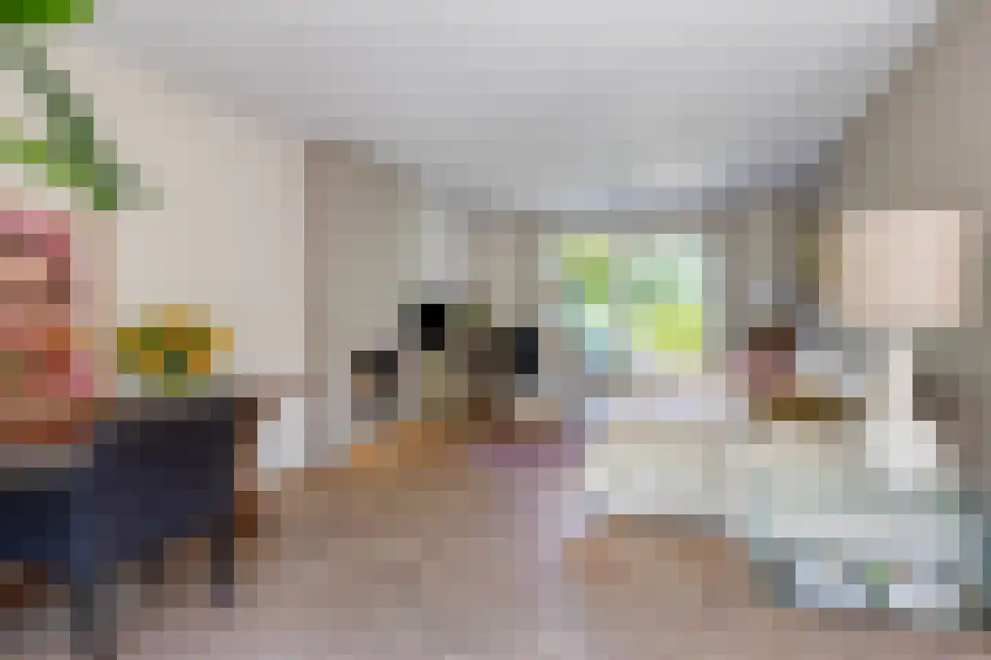 Koningin Julianaweg 33 Maasland thumbnail 15