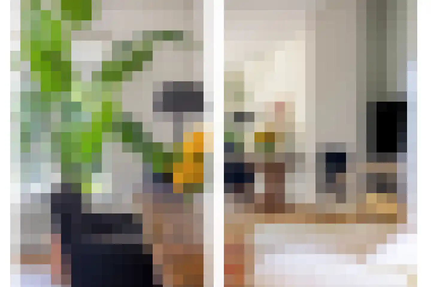 Koningin Julianaweg 33 Maasland thumbnail 20