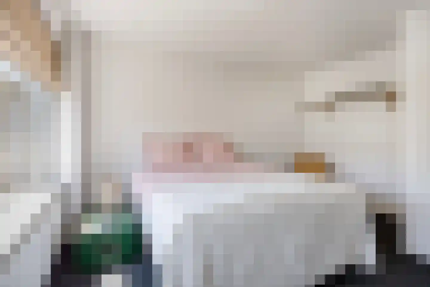 Koningin Julianaweg 33 Maasland thumbnail 39