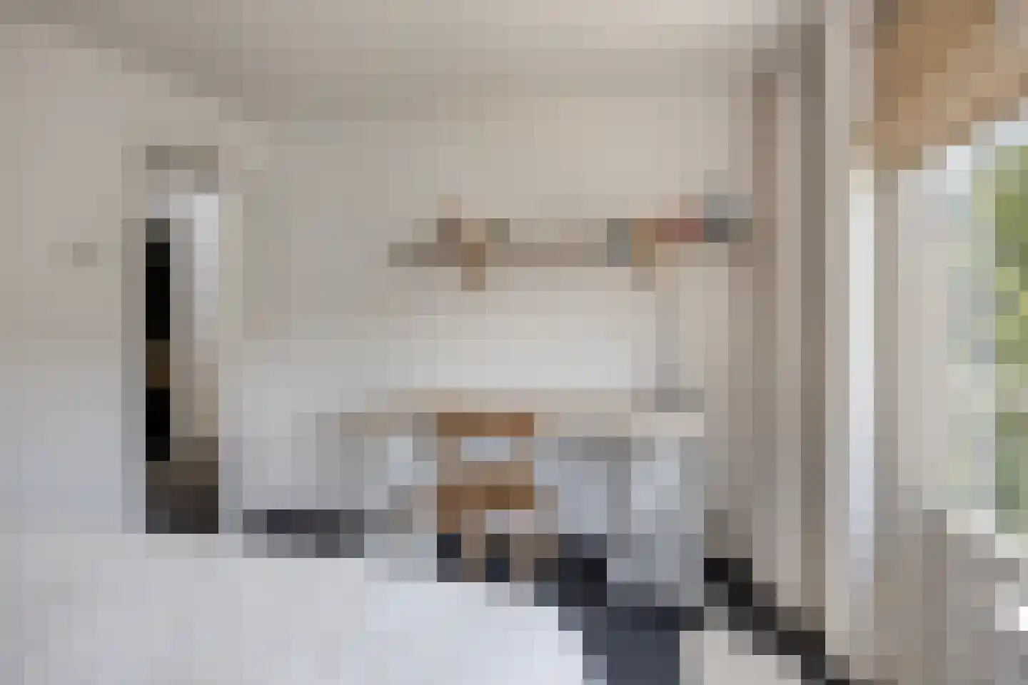 Koningin Julianaweg 33 Maasland thumbnail 40