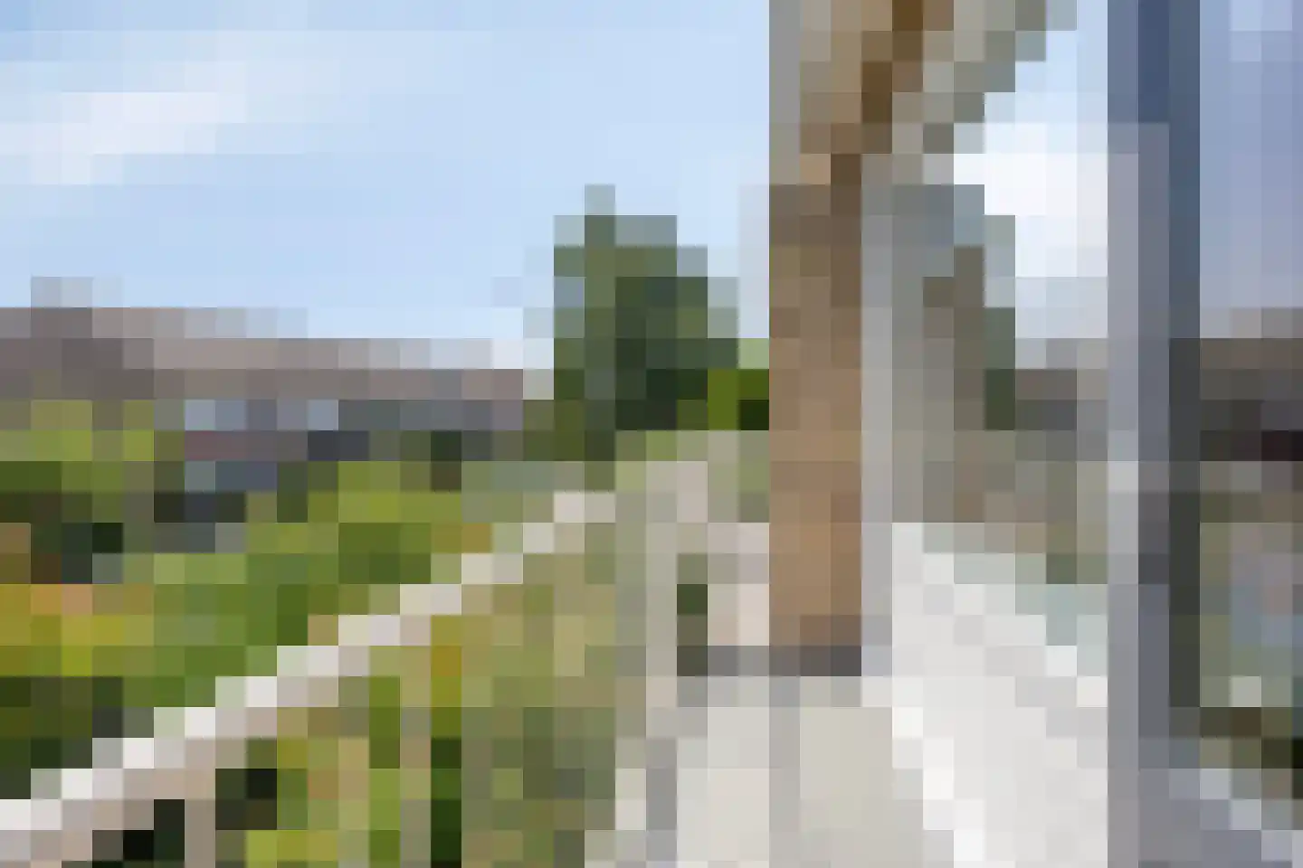 Koningin Julianaweg 33 Maasland thumbnail 42