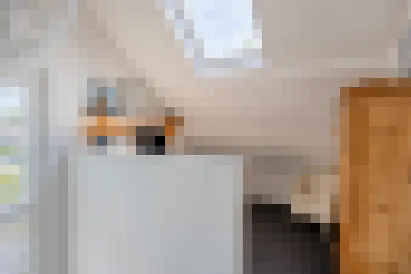 Koningin Julianaweg 33 Maasland thumbnail 55