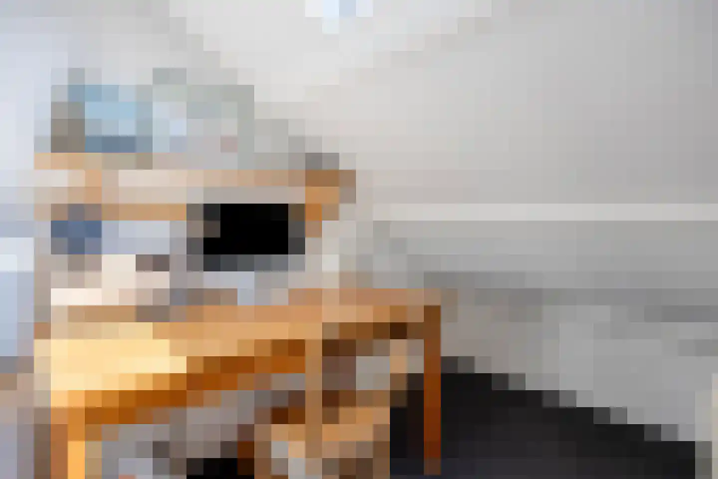 Koningin Julianaweg 33 Maasland thumbnail 56