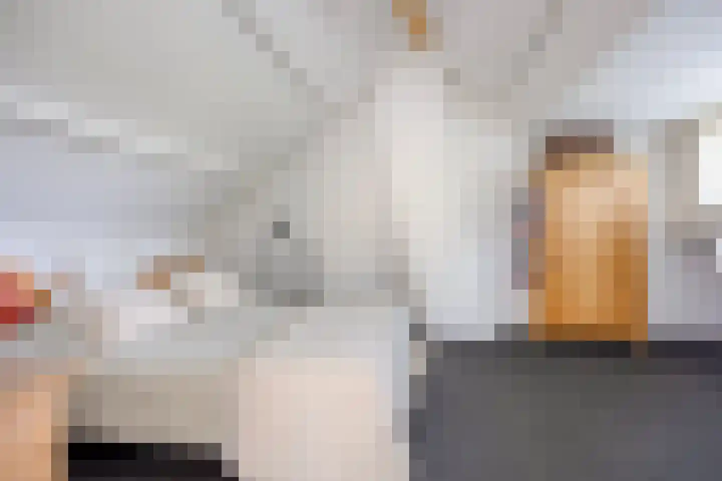 Koningin Julianaweg 33 Maasland thumbnail 58