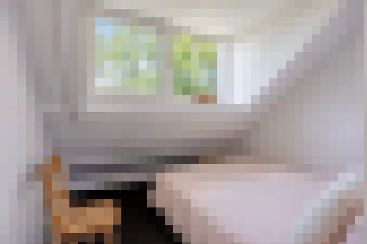 Koningin Julianaweg 33 Maasland thumbnail 61