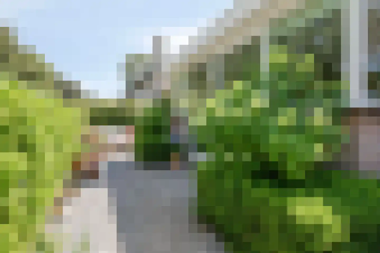 Koningin Julianaweg 33 Maasland thumbnail 63